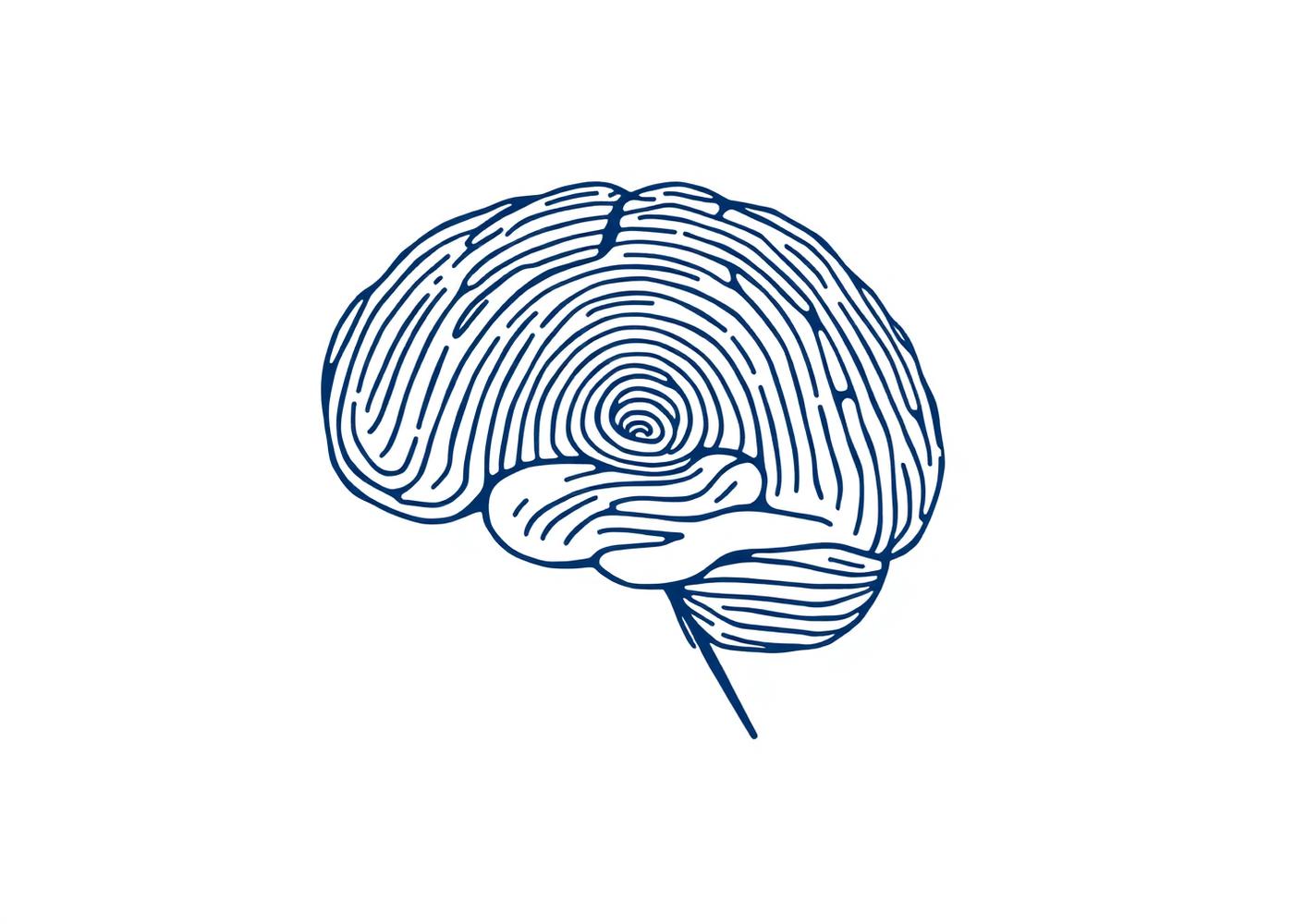 Line illustration of a brain formed from fingerprint ridges